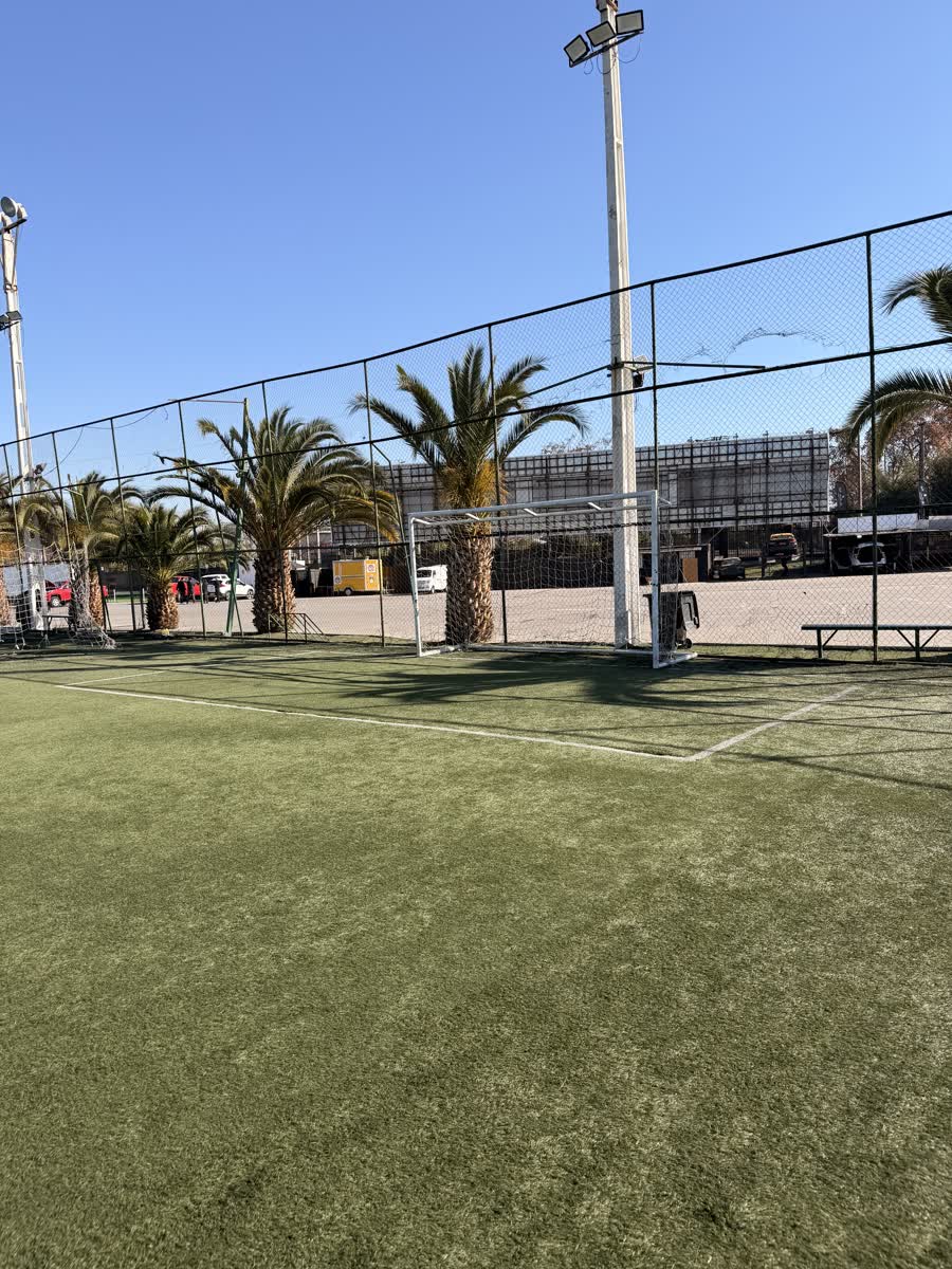 Arco de fútbol en cancha sintética con palmeras al fondo