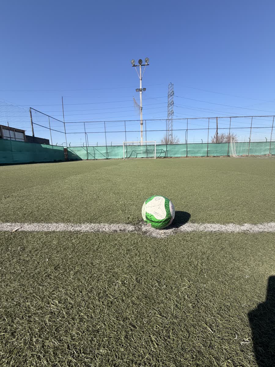 Pelota de fútbol sobre la línea blanca de la cancha